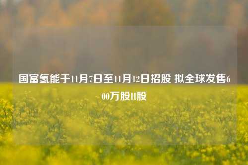 国富氢能于11月7日至11月12日招股 拟全球发售600万股H股