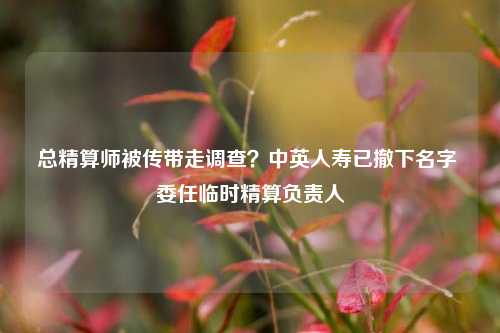 总精算师被传带走调查？中英人寿已撤下名字 委任临时精算负责人