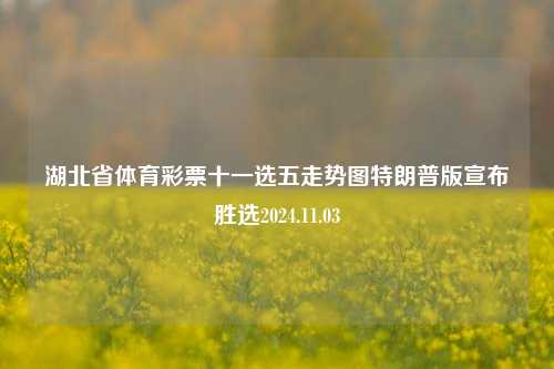 湖北省体育彩票十一选五走势图特朗普版宣布胜选2024.11.03