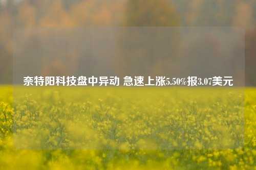 奈特阳科技盘中异动 急速上涨5.50%报3.07美元