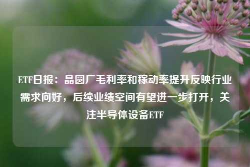 ETF日报：晶圆厂毛利率和稼动率提升反映行业需求向好，后续业绩空间有望进一步打开，关注半导体设备ETF