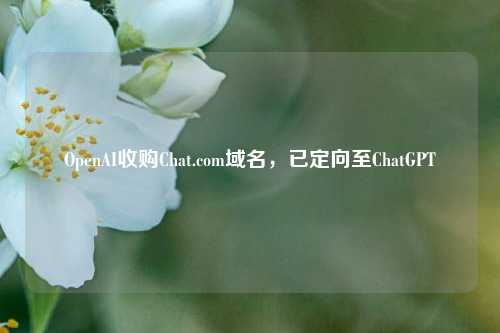 OpenAI收购Chat.com域名，已定向至ChatGPT