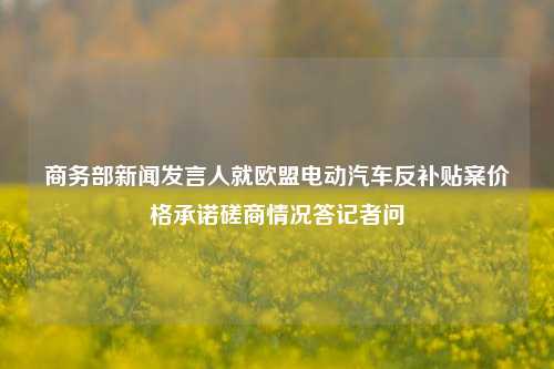 商务部新闻发言人就欧盟电动汽车反补贴案价格承诺磋商情况答记者问