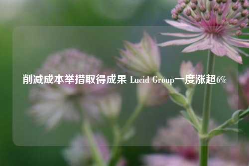 削减成本举措取得成果 Lucid Group一度涨超6%