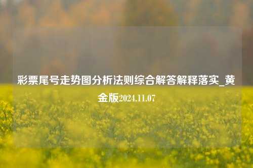 彩票尾号走势图分析法则综合解答解释落实_黄金版2024.11.07