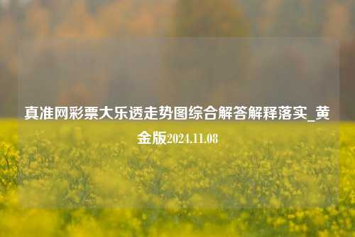 真准网彩票大乐透走势图综合解答解释落实_黄金版2024.11.08