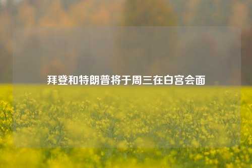 拜登和特朗普将于周三在白宫会面