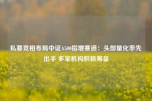 私募竞相布局中证A500指增赛道：头部量化率先出手 多家机构积极筹备