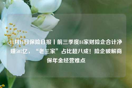 11月11日保险日报丨前三季度84家财险企合计净赚507亿，“老三家”占比超八成！险企破解商保年金经营难点