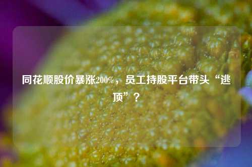 同花顺股价暴涨200%，员工持股平台带头“逃顶”？