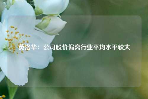 英洛华：公司股价偏离行业平均水平较大