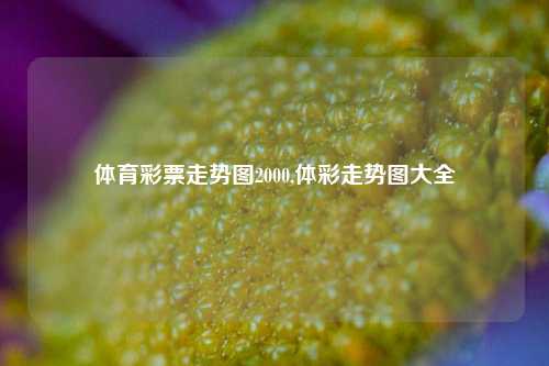 体育彩票走势图2000,体彩走势图大全