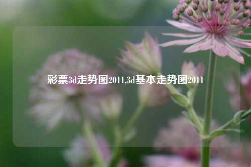 彩票3d走势图2011,3d基本走势图2011