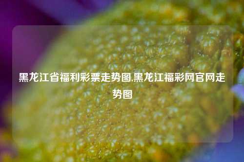 黑龙江省福利彩票走势图,黑龙江福彩网官网走势图