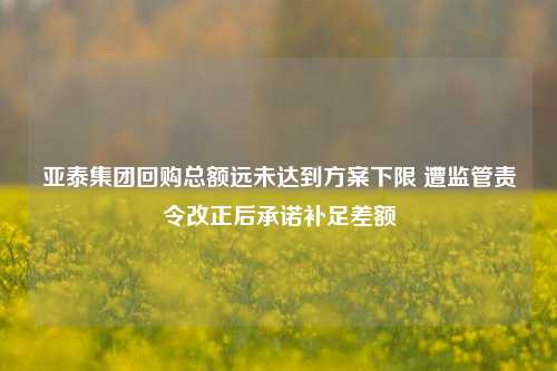 亚泰集团回购总额远未达到方案下限 遭监管责令改正后承诺补足差额