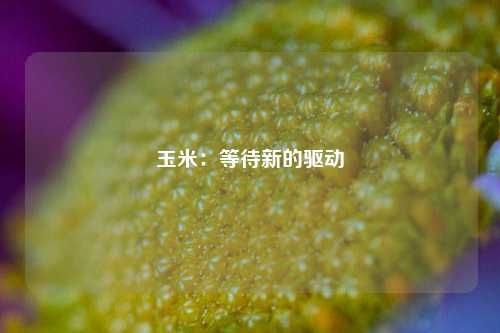 玉米：等待新的驱动