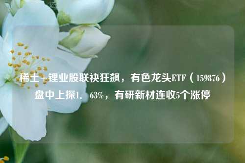 稀土+锂业股联袂狂飙，有色龙头ETF（159876）盘中上探1．63%，有研新材连收5个涨停