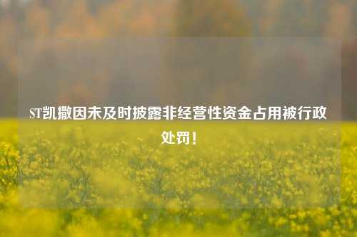 ST凯撒因未及时披露非经营性资金占用被行政处罚！