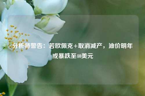 分析师警告：若欧佩克+取消减产，油价明年或暴跌至40美元