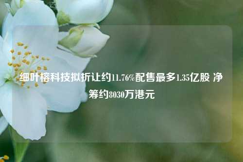 细叶榕科技拟折让约11.76%配售最多1.35亿股 净筹约8030万港元