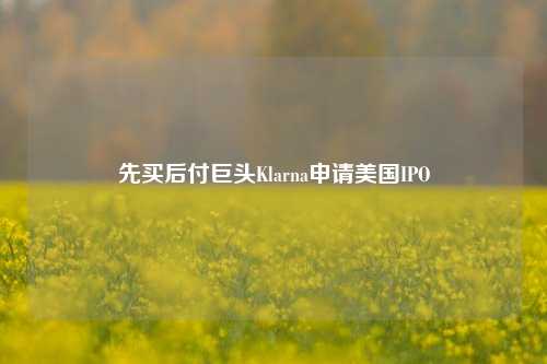 先买后付巨头Klarna申请美国IPO