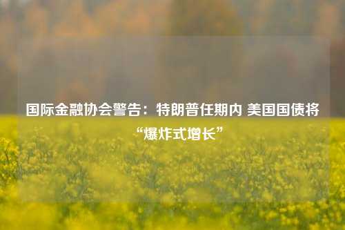 国际金融协会警告：特朗普任期内 美国国债将“爆炸式增长”