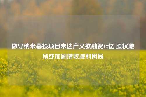 微导纳米募投项目未达产又欲融资12亿 股权激励或加剧增收减利困局