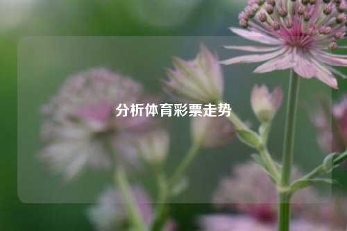 分析体育彩票走势