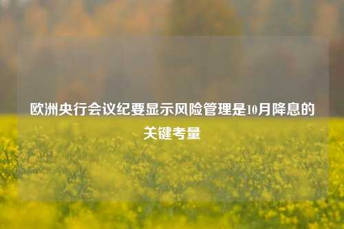 欧洲央行会议纪要显示风险管理是10月降息的关键考量