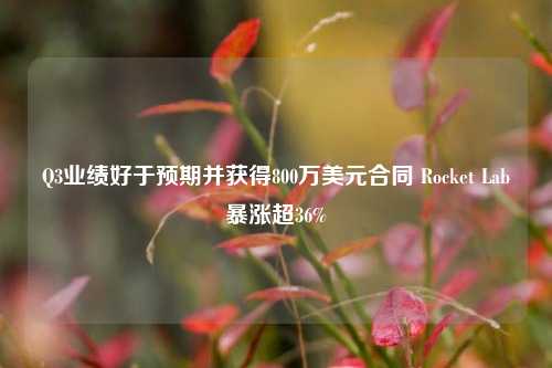 Q3业绩好于预期并获得800万美元合同 Rocket Lab暴涨超36%