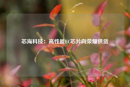 芯海科技：高性能EC芯片向荣耀供货