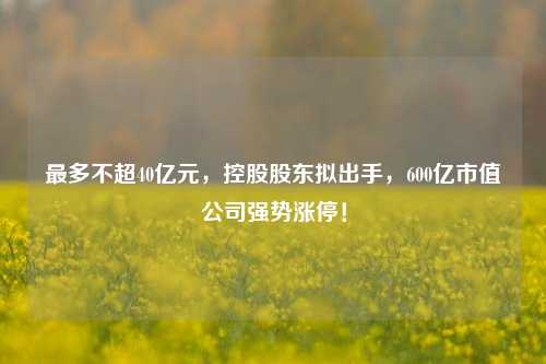 最多不超40亿元，控股股东拟出手，600亿市值公司强势涨停！