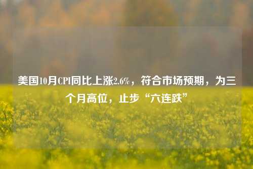 美国10月CPI同比上涨2.6%，符合市场预期，为三个月高位，止步“六连跌”