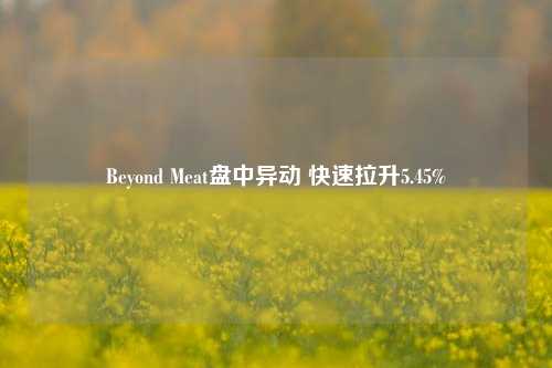 Beyond Meat盘中异动 快速拉升5.45%