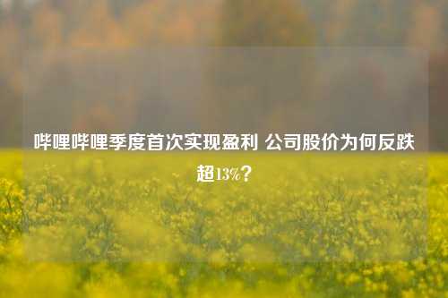 哔哩哔哩季度首次实现盈利 公司股价为何反跌超13%？