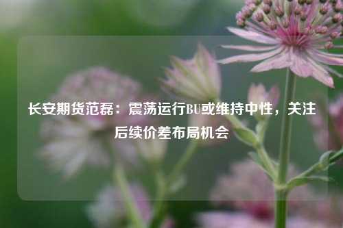 长安期货范磊：震荡运行BU或维持中性，关注后续价差布局机会