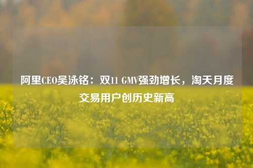 阿里CEO吴泳铭：双11 GMV强劲增长，淘天月度交易用户创历史新高