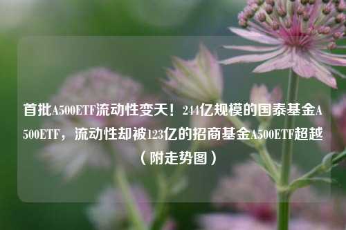 首批A500ETF流动性变天！244亿规模的国泰基金A500ETF，流动性却被123亿的招商基金A500ETF超越（附走势图）