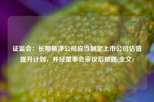 证监会：长期破净公司应当制定上市公司估值提升计划，并经董事会审议后披露(全文)