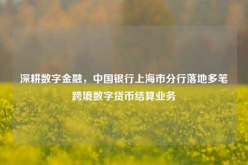 深耕数字金融，中国银行上海市分行落地多笔跨境数字货币结算业务