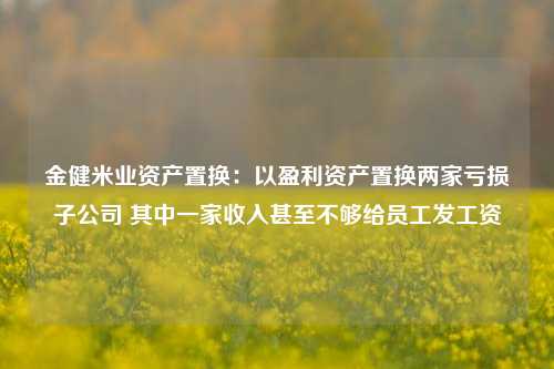 金健米业资产置换：以盈利资产置换两家亏损子公司 其中一家收入甚至不够给员工发工资