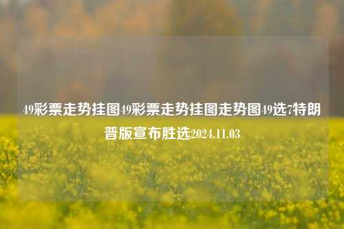 49彩票走势挂图49彩票走势挂图走势图49选7特朗普版宣布胜选2024.11.03