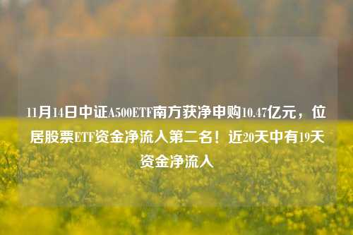 11月14日中证A500ETF南方获净申购10.47亿元，位居股票ETF资金净流入第二名！近20天中有19天资金净流入