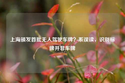 上海颁发首批无人驾驶车牌？系误读，识别标牌并非车牌