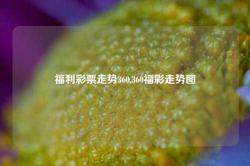 福利彩票走势360,360福彩走势图