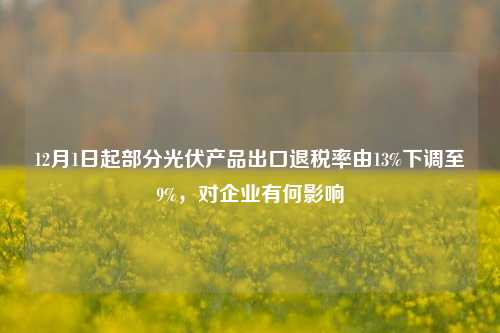 12月1日起部分光伏产品出口退税率由13%下调至9%，对企业有何影响