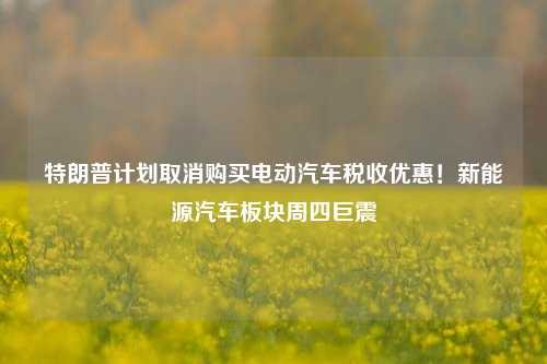 特朗普计划取消购买电动汽车税收优惠！新能源汽车板块周四巨震