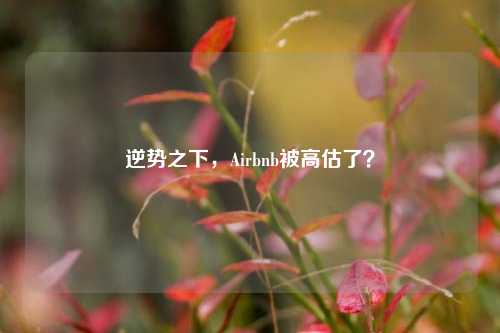 逆势之下，Airbnb被高估了？