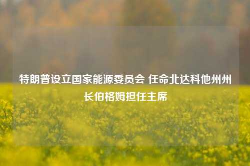 特朗普设立国家能源委员会 任命北达科他州州长伯格姆担任主席