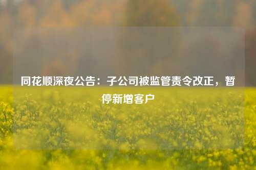 同花顺深夜公告：子公司被监管责令改正，暂停新增客户